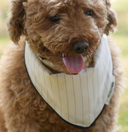 Beige and Black Stripe Bandana